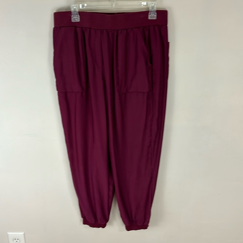 Urban Outfitters Silence + Noise Maroon Lightweight Joggers Size Large